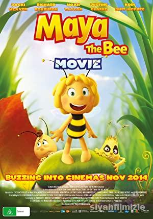 Ari Maya izle