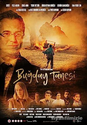 Bugday Tanesi izle