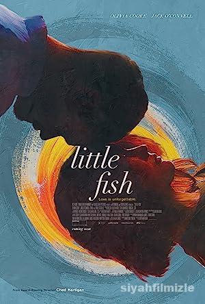 Kucuk Balik 2020 Filmi Turkce Dublaj Altyazili Full izle