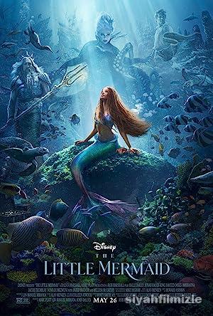 Kucuk Deniz Kizi izle