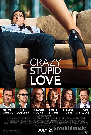 Cilgin Aptal Ask izle