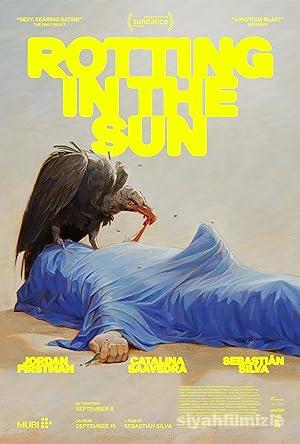 Rotting in the Sun izle