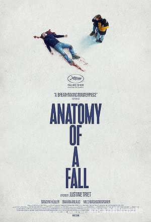 Bir Dususun Anatomisi izle