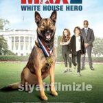 Max 2: Beyaz Saray Kahramanı 2017 Filmi Türkçe Dublaj izle