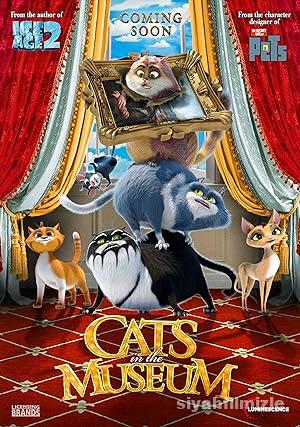 Kediler Muzede izle