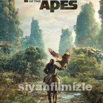 Maymunlar Cehennemi: Yeni Krallık 2024 Filmi Full izle