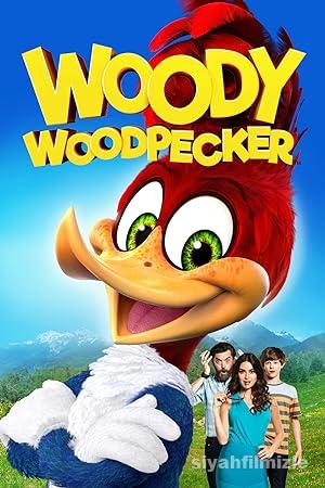 Agaçkakan Woody Film Serisi