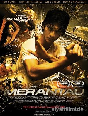 Merantau Savascisi izle