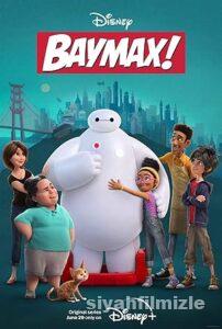 Baymax! 1.Sezon izle Türkçe Dublaj Altyazılı Full