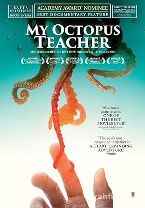 Ahtapottan Ogrendiklerim 2020 Filmi Turkce Altyazili Full izle