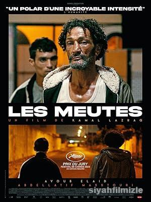 Av Kopekleri izle