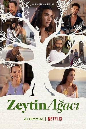 Zeytin Agaci izle