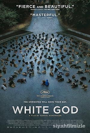 Beyaz Tanri izle