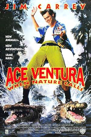 Budala Dedektif Afrika8217da izle