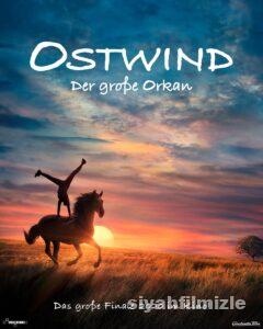 Ostwind Film Serisi