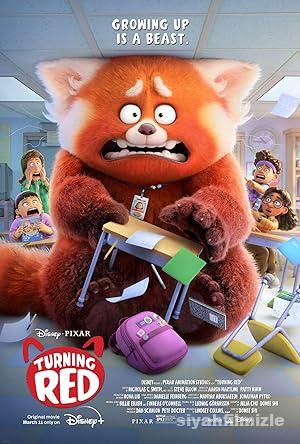 Kirmizi izle