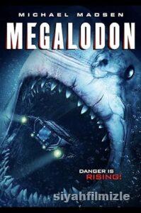 Megalodon Film Serisi