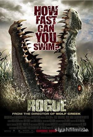 Timsah Nehrin Disleri izle