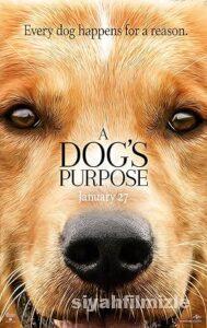 Can Dostum Film Serisi