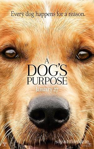 Can Dostum izle
