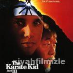 Karateci Çocuk 3 1989 Filmi Türkçe Dublaj Altyazılı izle