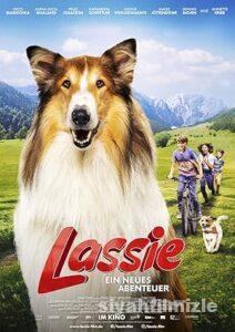Lassie Film Serisi