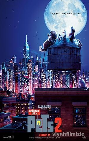 Evcil Hayvanlarin Gizli Yasami 2 izle