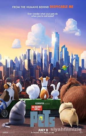 Evcil Hayvanların Gizli Yaşamı 2016 Filmi Türkçe Full izle