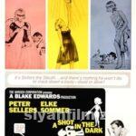 Karanlıkta Bir Çığlık 1964 Türkçe Dublaj Altyazılı Full izle