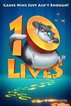 Merakli Kedinin 10 Yasami izle