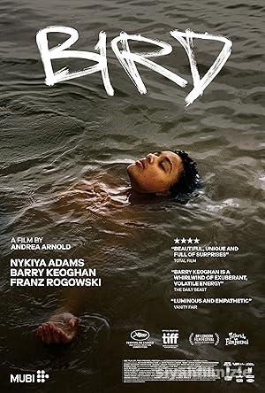 Kus izle