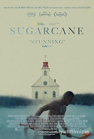 Sugarcane izle