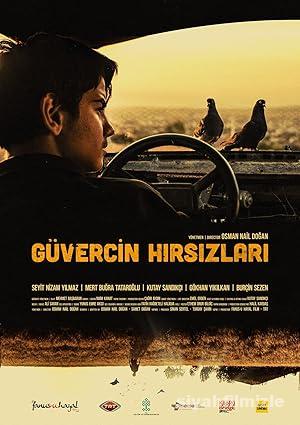 Guvercin Hirsizlari izle