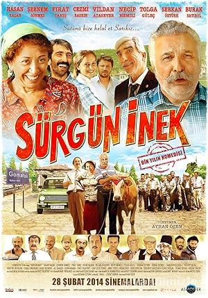 Surgun Inek izle