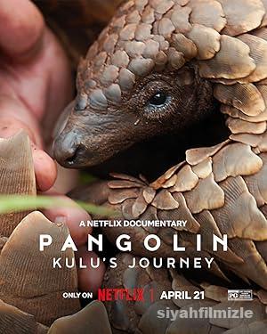 Pangolin Kulu8217nun Yolculugu izle