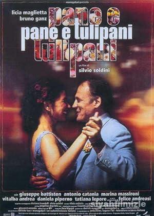 Ekmek ve Laleler izle