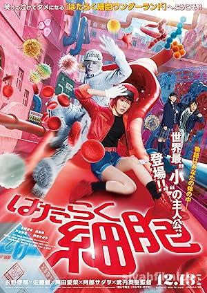 Cells at Work izle
