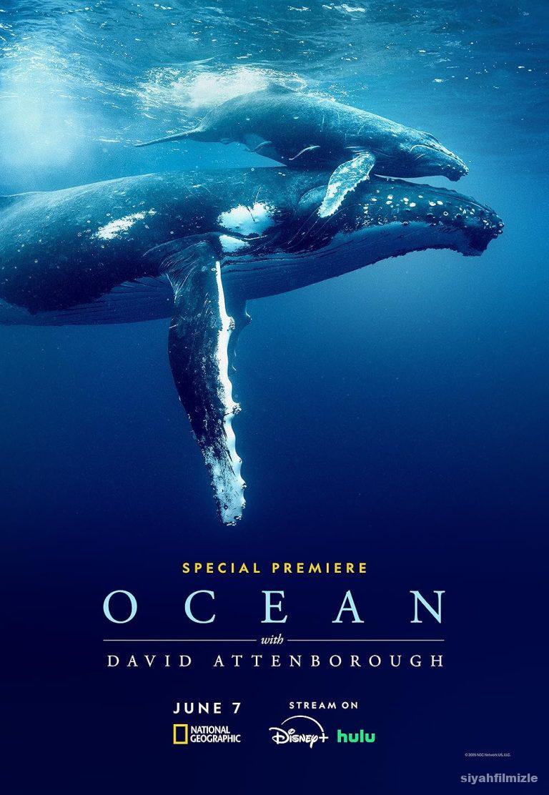 David Attenborough ile Okyanuslar izle