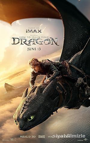 Ejderhani Nasil Egitirsin izle