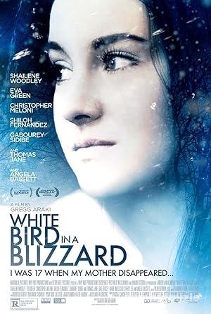 Karda Bir Beyaz Kus izle