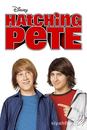 Yumurtadan Cikan Pete izle
