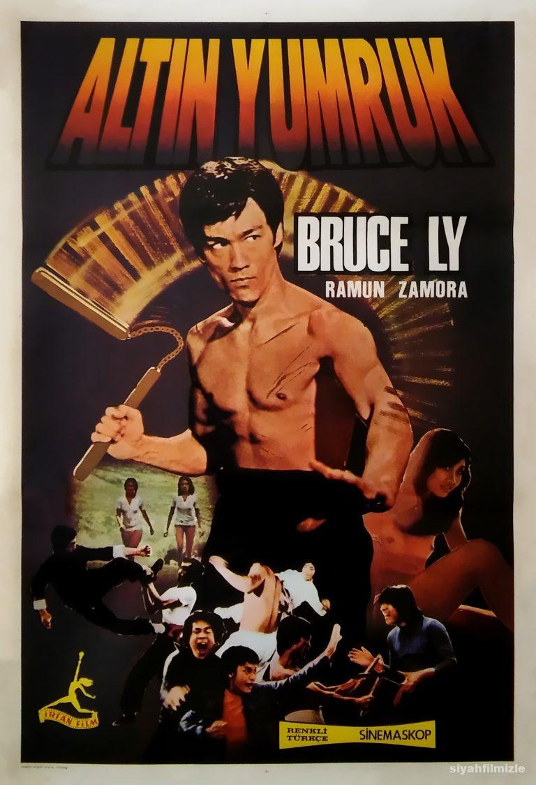 Altin Yumruk izle