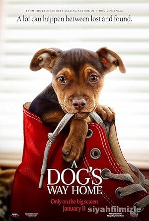 Sadik Dostum izle
