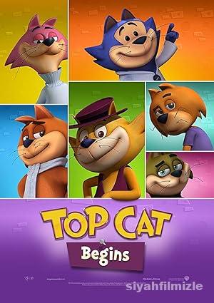 Sevimli Kedi Is Basinda 2 izle
