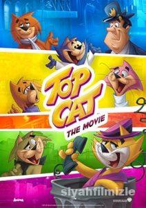 Sevimli Kedi İş Başında Film Serisi