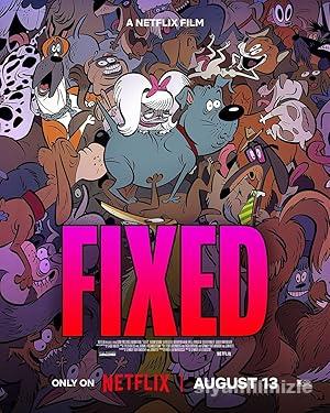 Son Bir Macera izle