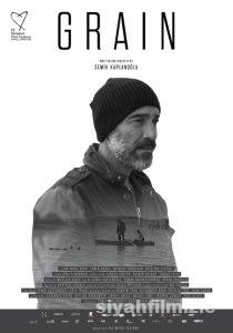 Buğday 2017 Yerli Filmi Full Sansürsüz izle